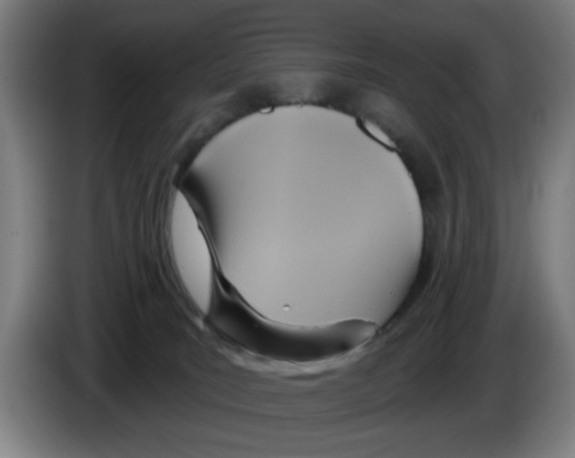 X0000086220035200704261845