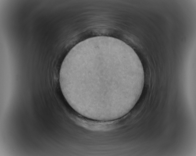 X0000086220040200704261845