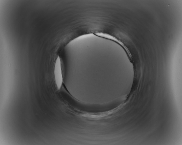 X0000086220041200704261845