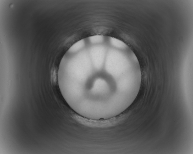 X0000086220042200704261845