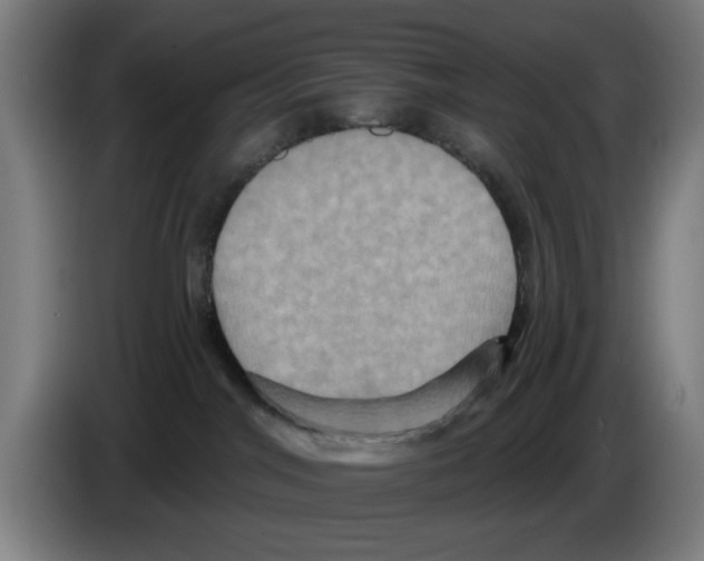 X0000086220044200704261845