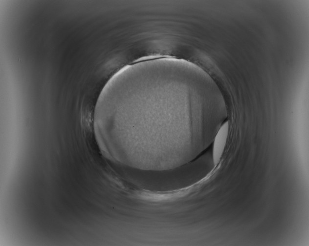 X0000086220045200704261845