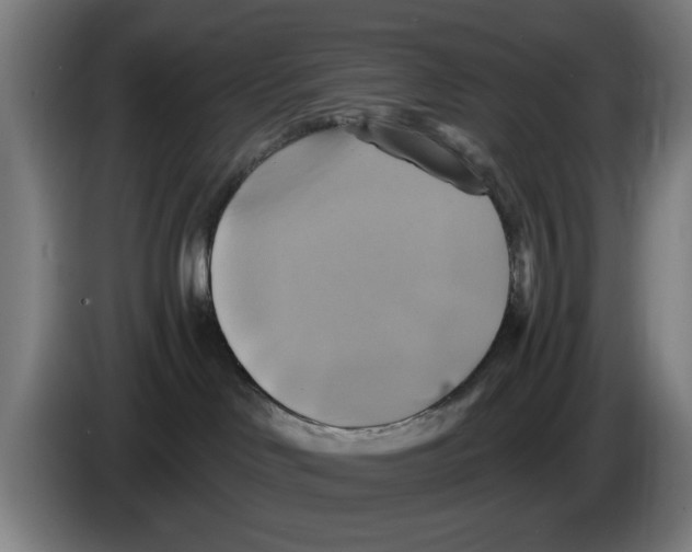 X0000086220046200704261845