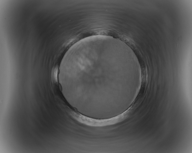 X0000086220047200704261845