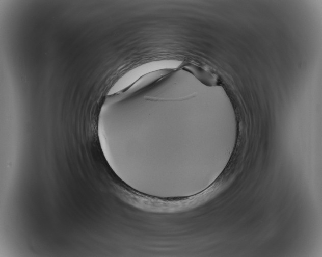 X0000086220048200704261845