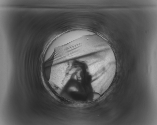 X0000086220049200704261844