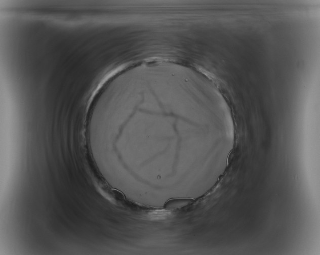 X0000086220050200704261844