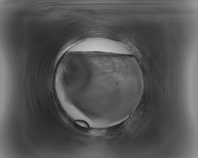 X0000086220051200704261844