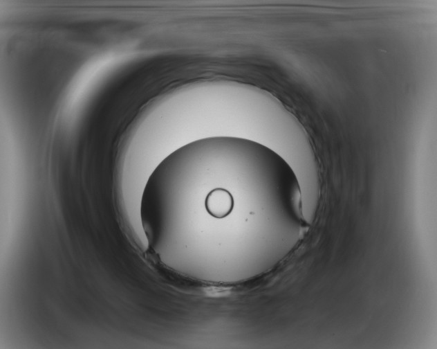 X0000086220052200704261844