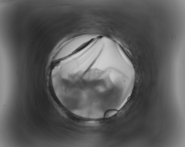 X0000086220053200704261844