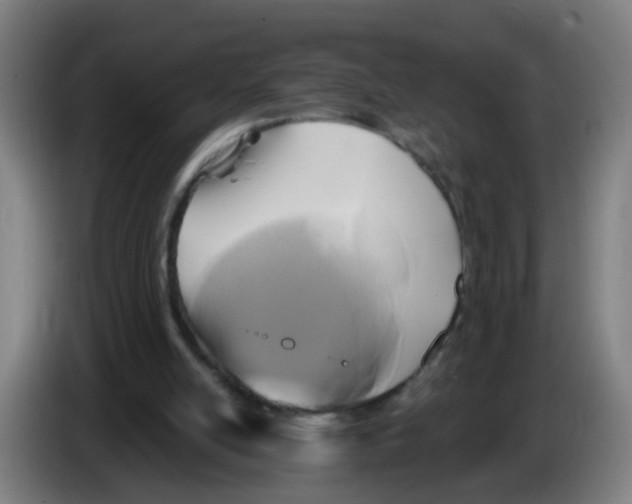 X0000086220054200704261844