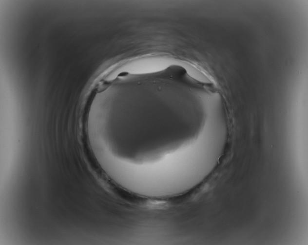 X0000086220055200704261844