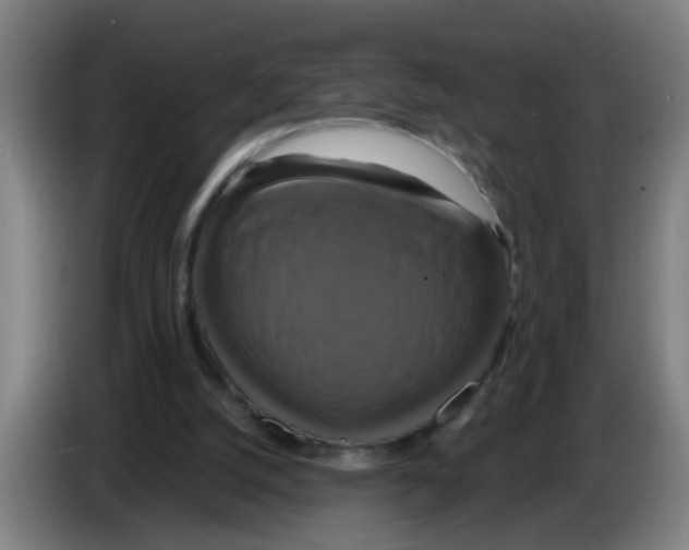 X0000086220056200704261844