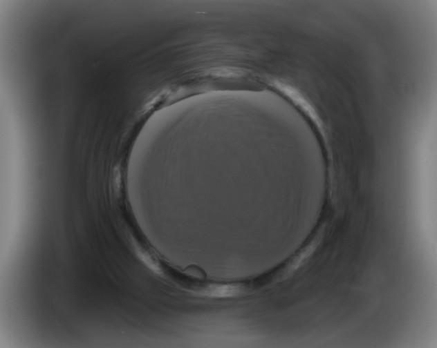 X0000086220057200704261844