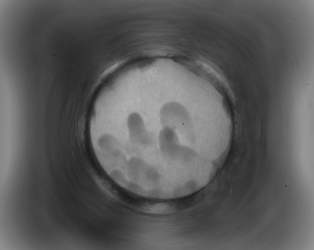 X0000086220058200704261844