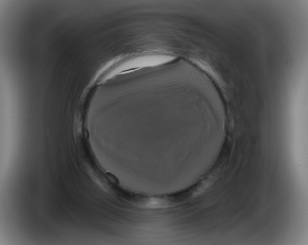 X0000086220060200704261844