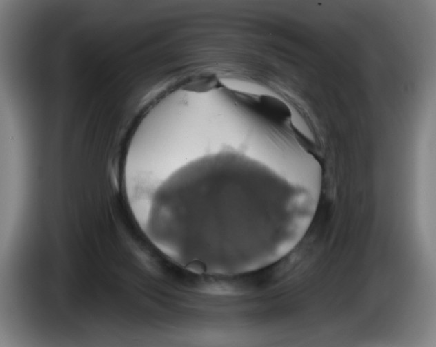 X0000086220062200704261844