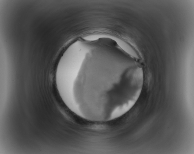 X0000086220063200704261844