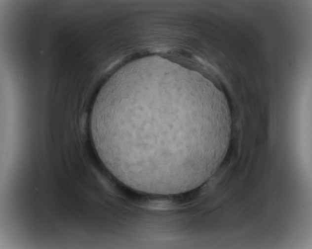 X0000086220066200704261844