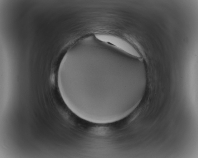 X0000086220067200704261844