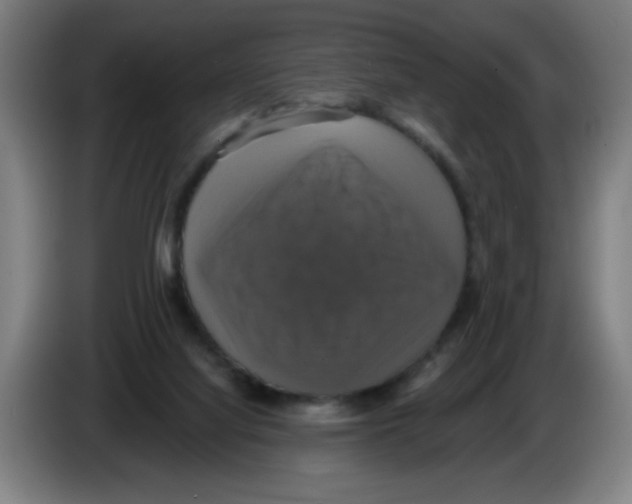 X0000086220068200704261844