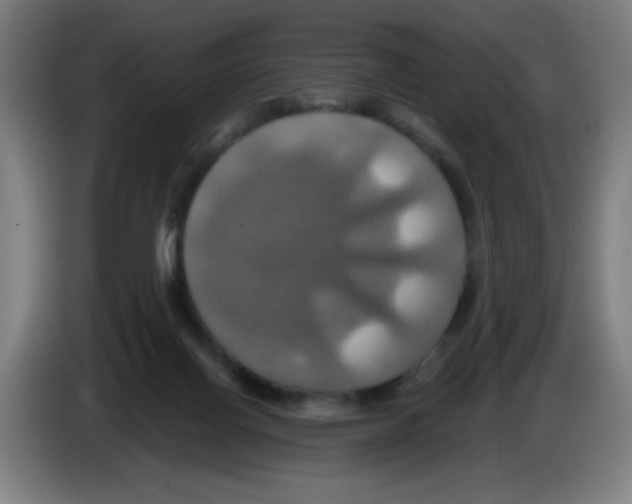 X0000086220070200704261844