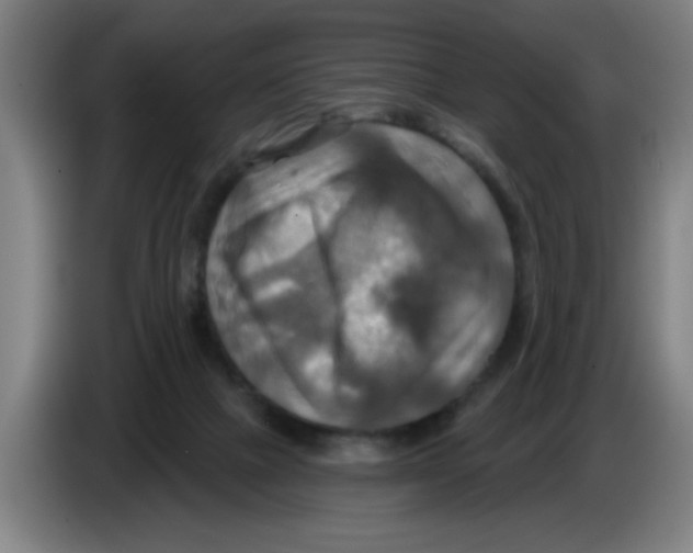 X0000086220073200704261845