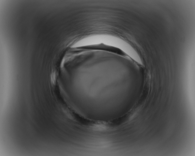 X0000086220076200704261845