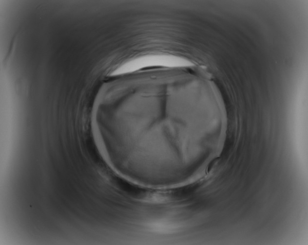 X0000086220078200704261845