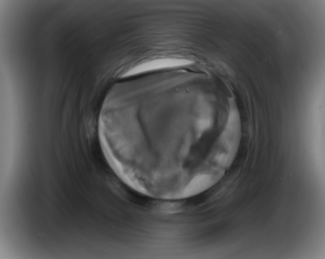 X0000086220081200704261845