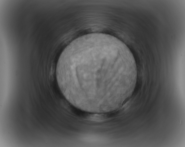 X0000086220082200704261845