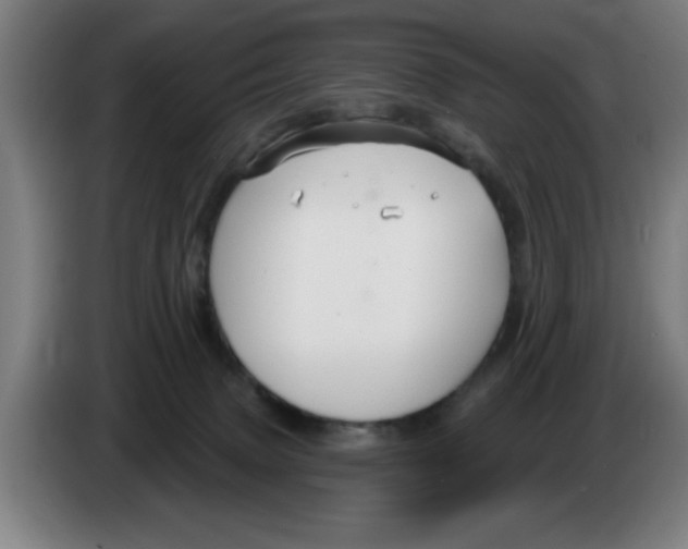 X0000086220083200704261845