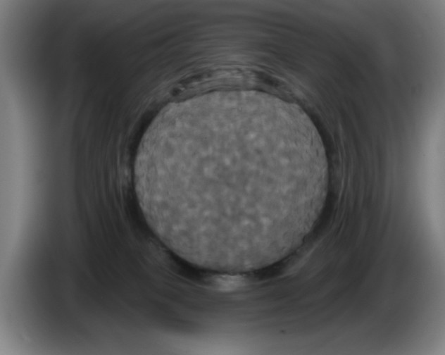 X0000086220085200704261845