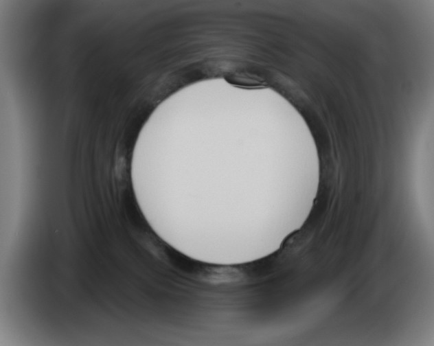 X0000086220087200704261845