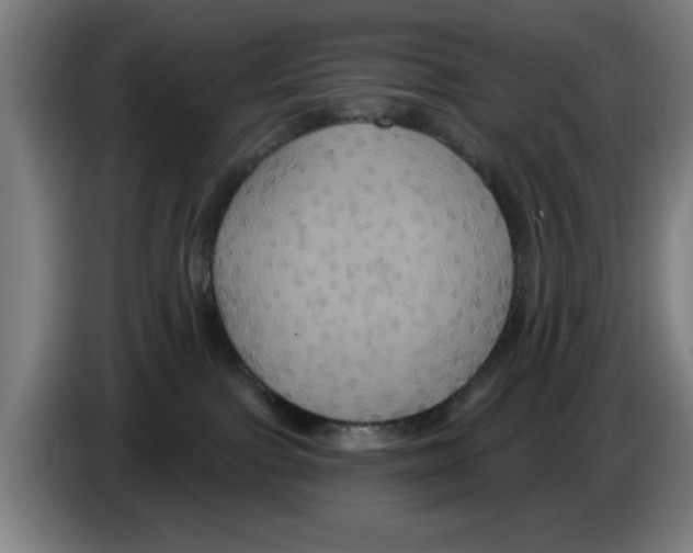 X0000086220091200704261845