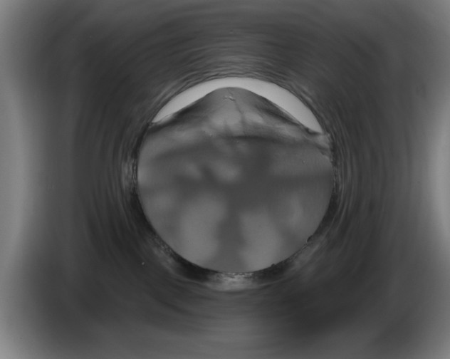 X0000086220093200704261845