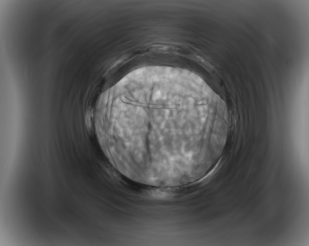 X0000086220094200704261845