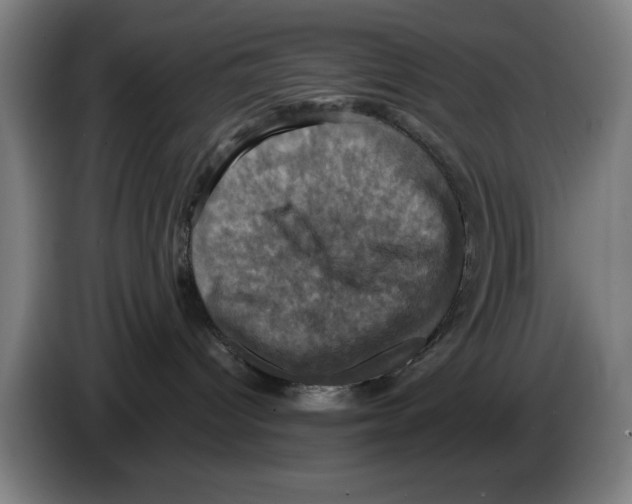 X0000086220096200704261845