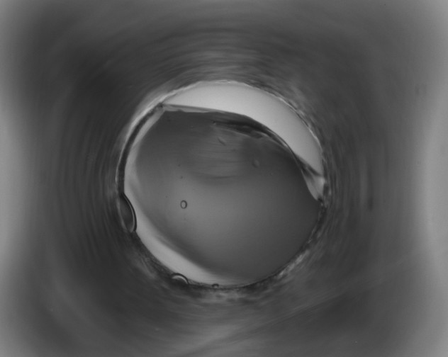 X0000086220099200704261844