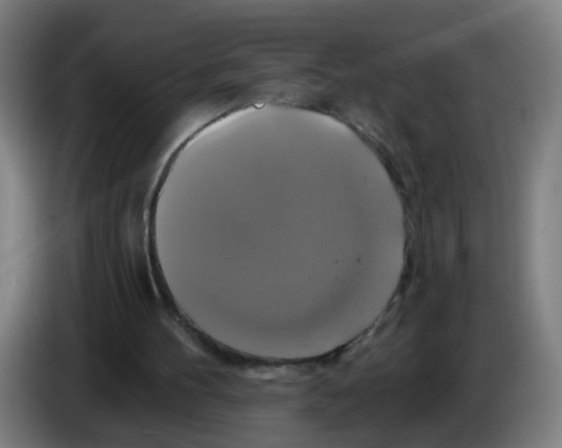 X0000086220100200704261844