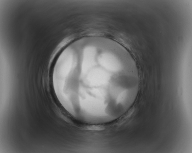 X0000086220102200704261844