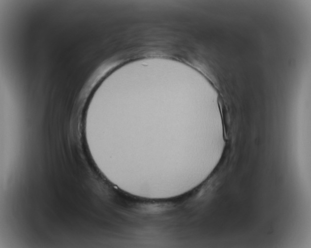 X0000086220103200704261844