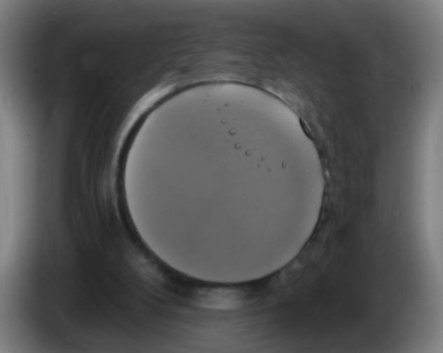 X0000086220104200704261844