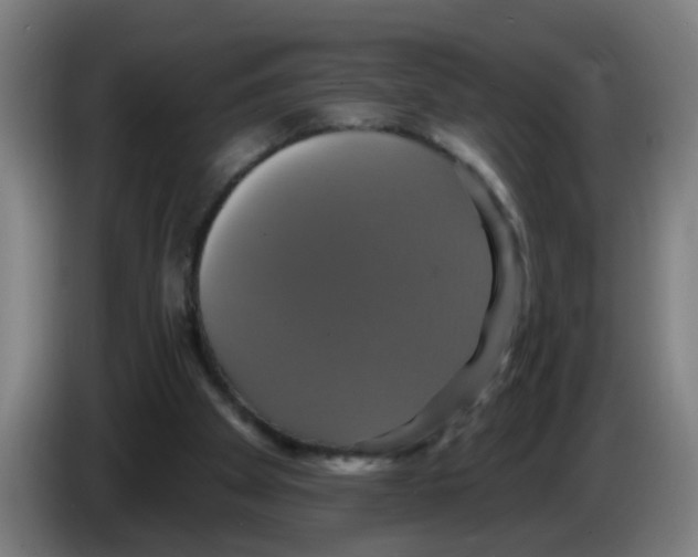 X0000086220105200704261844