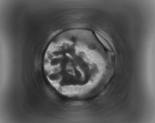 X0000086220107200704261844