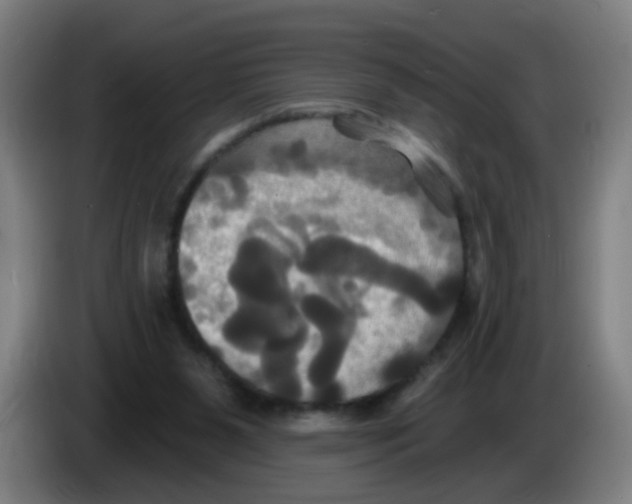 X0000086220111200704261844