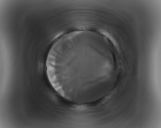 X0000086220113200704261844