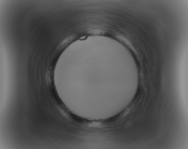 X0000086220114200704261844