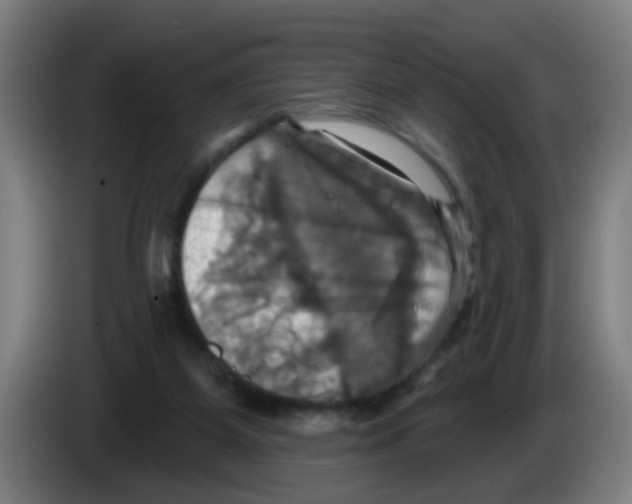 X0000086220115200704261844