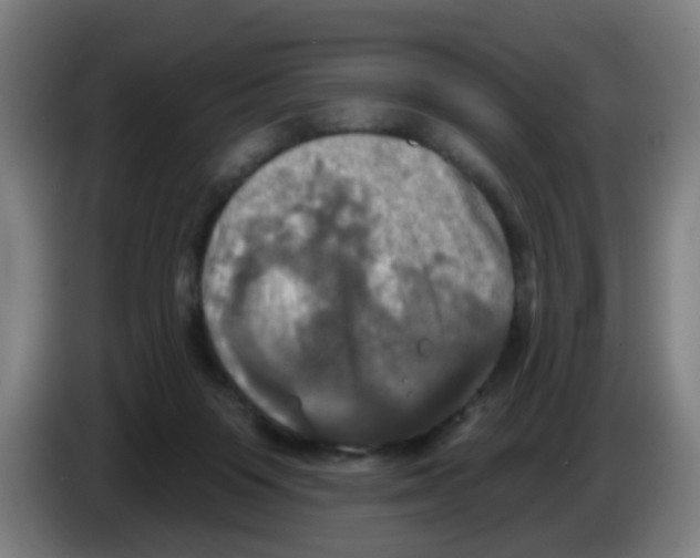 X0000086220119200704261844